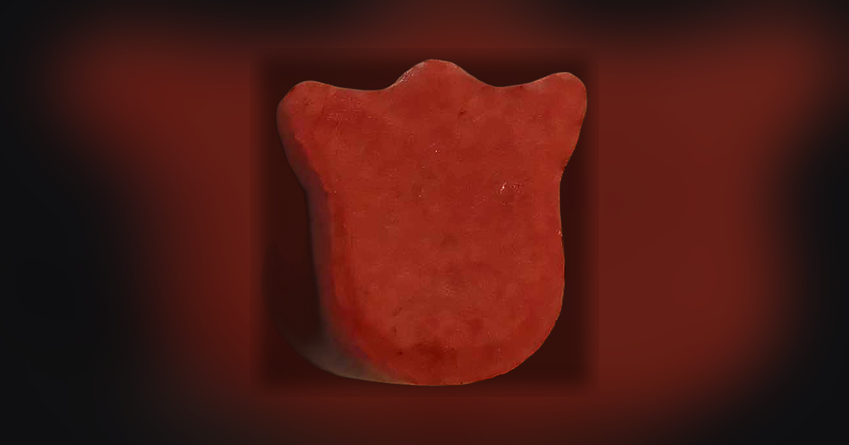 Tulipan