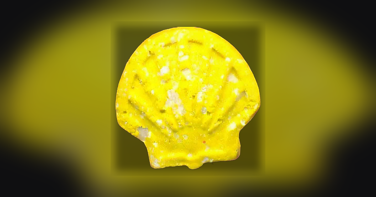Shell