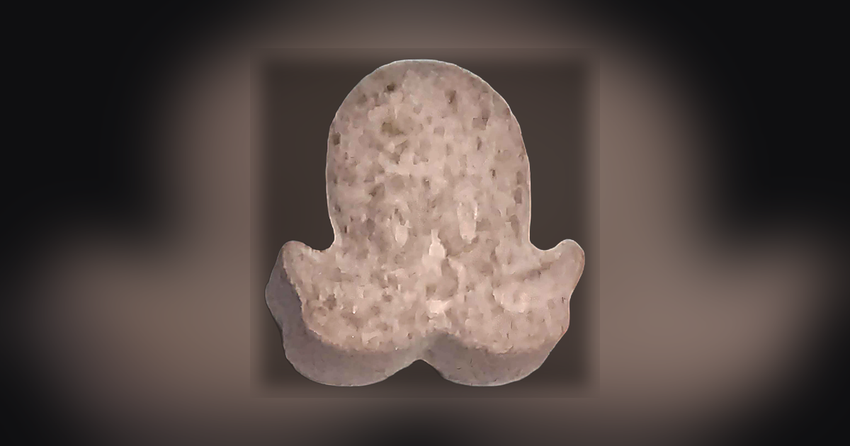 Pulpo