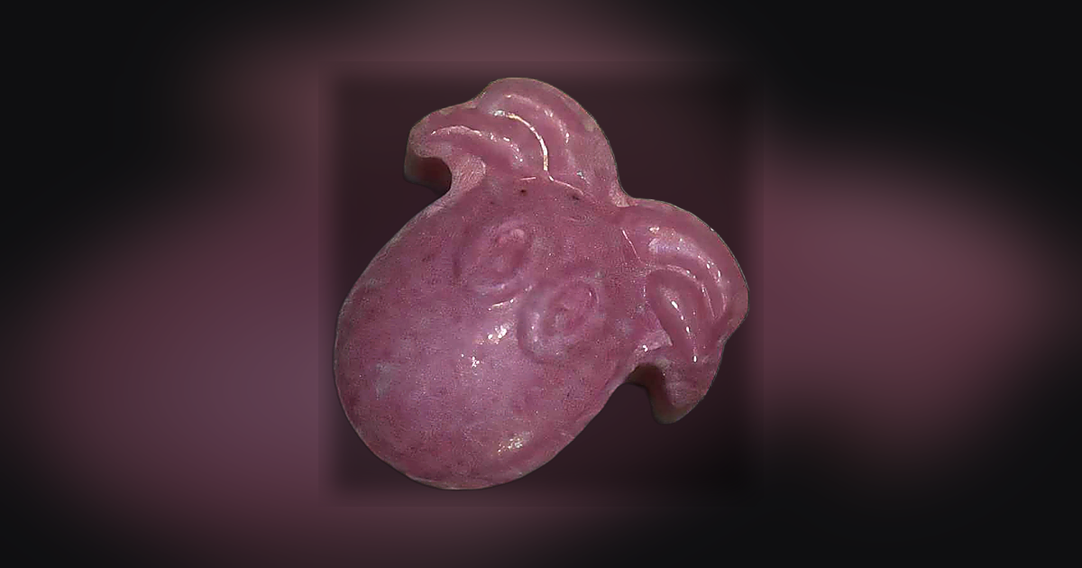 Pulpo