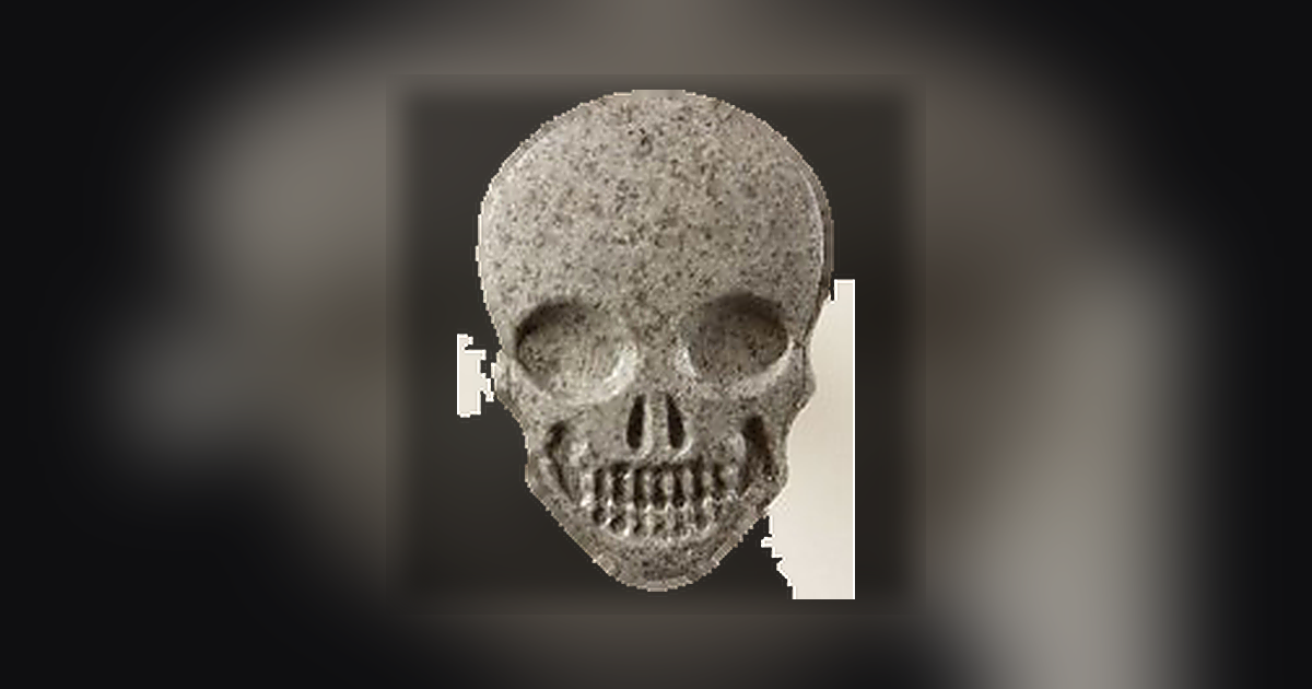 Skull