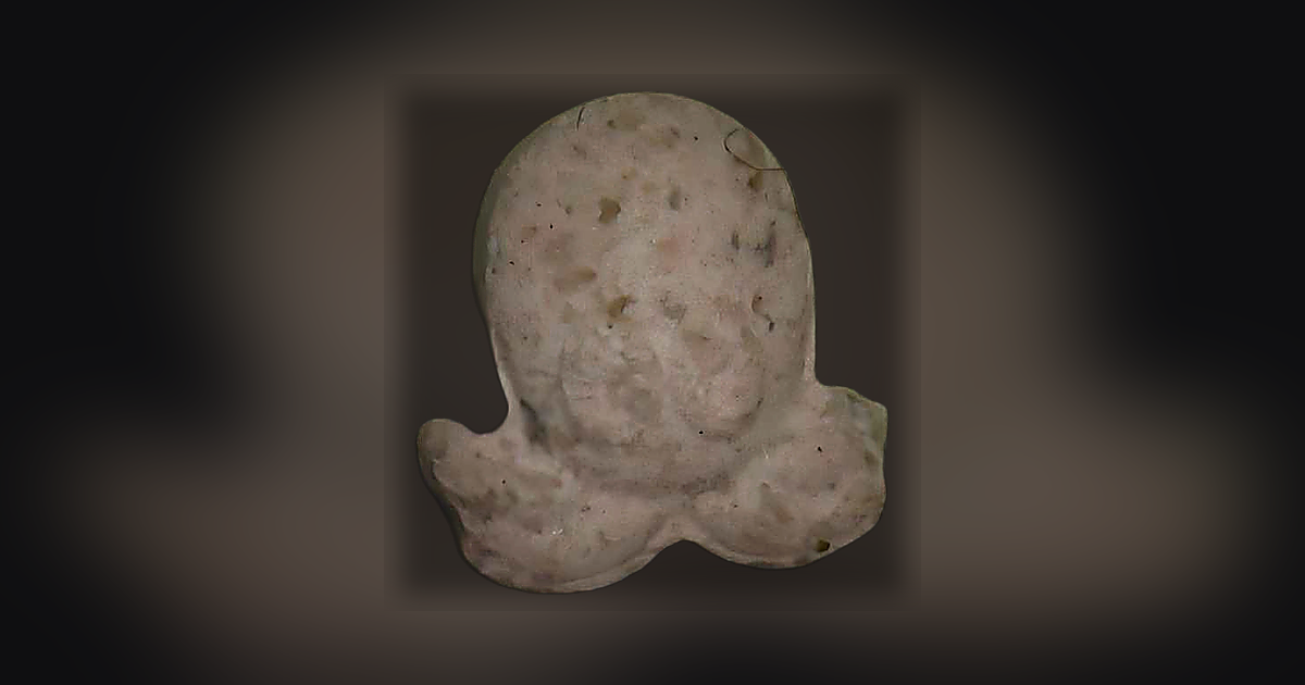 Pulpo