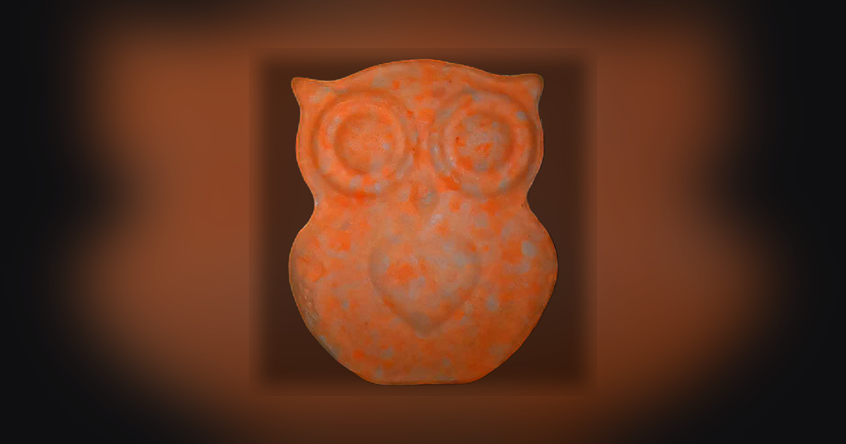 Panama, Owl
