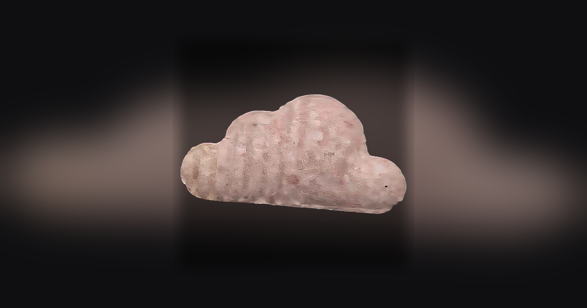 Soundcloud