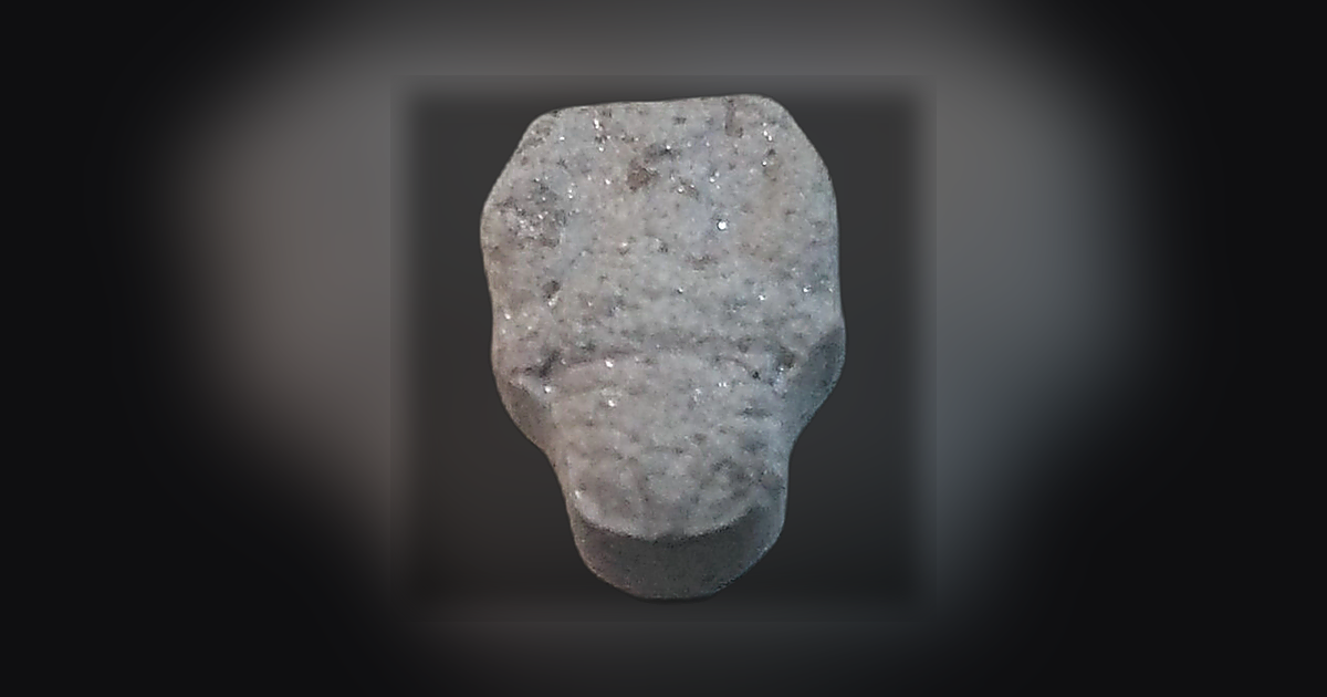 Skull
