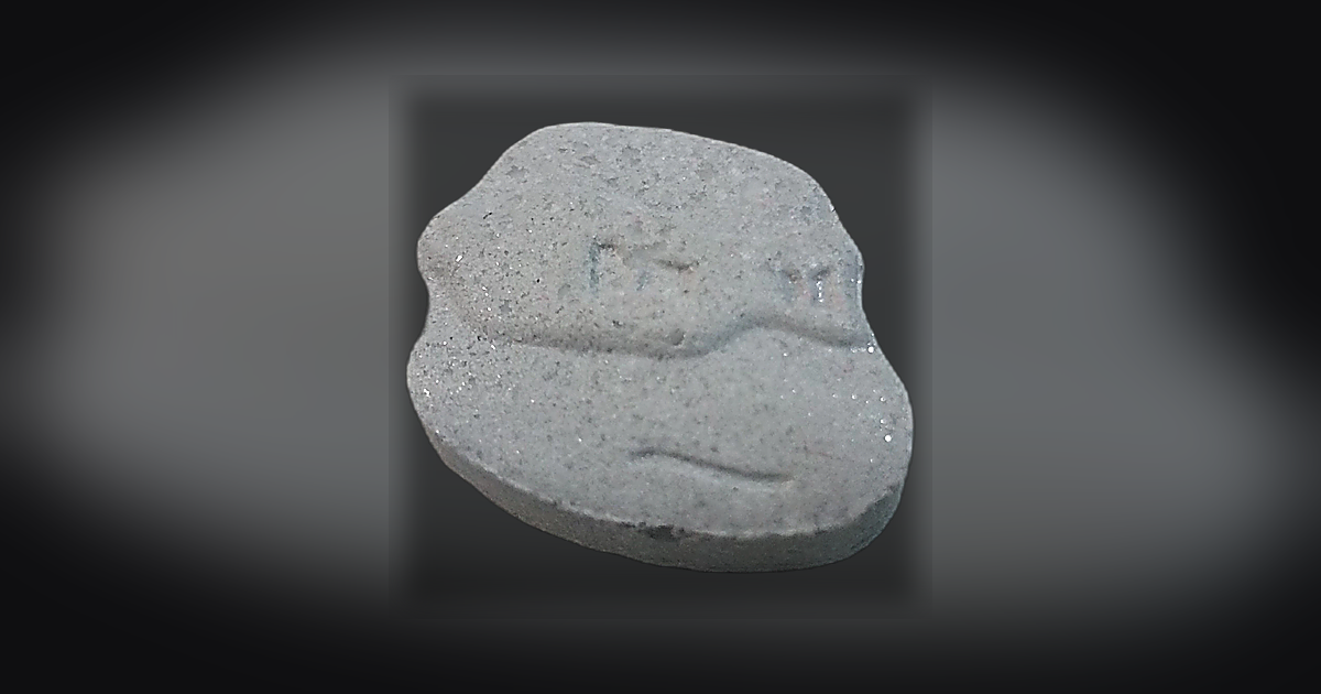 Tortuga