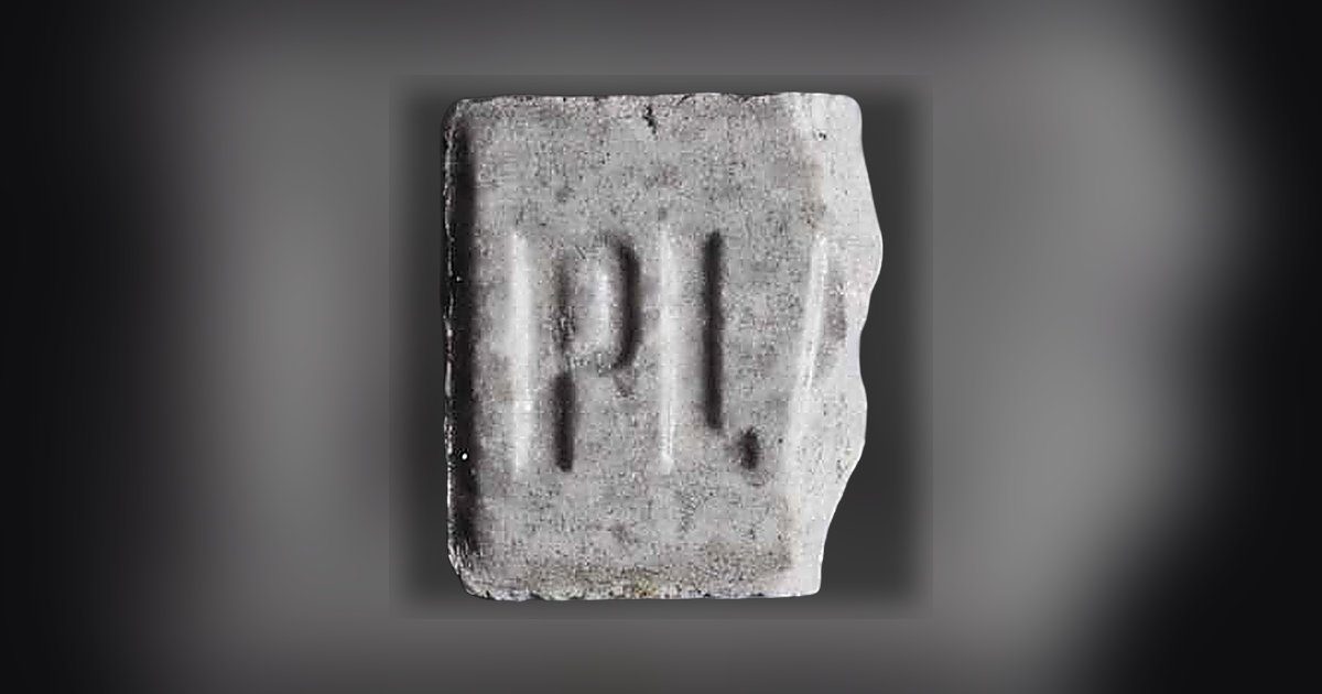 Plata_o_plomo