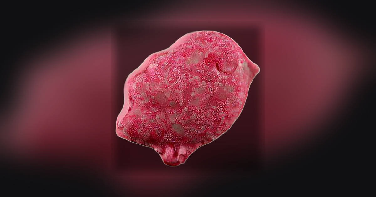 Bird pills (Ecstasy / MDMA)