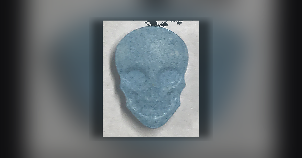 Skull