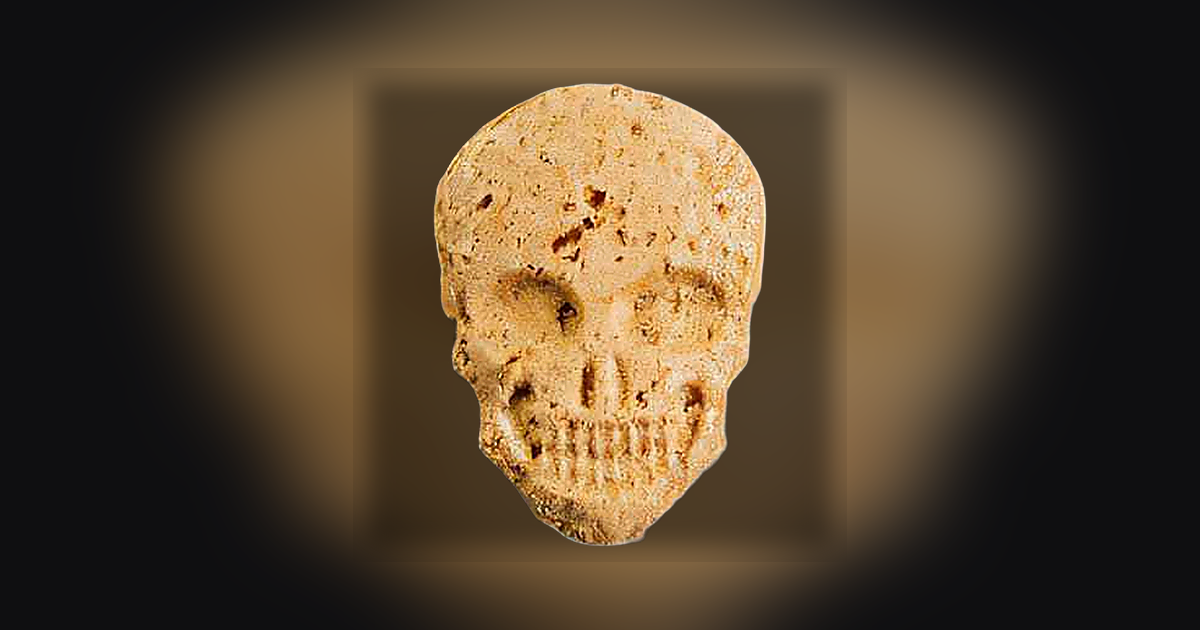 Skull