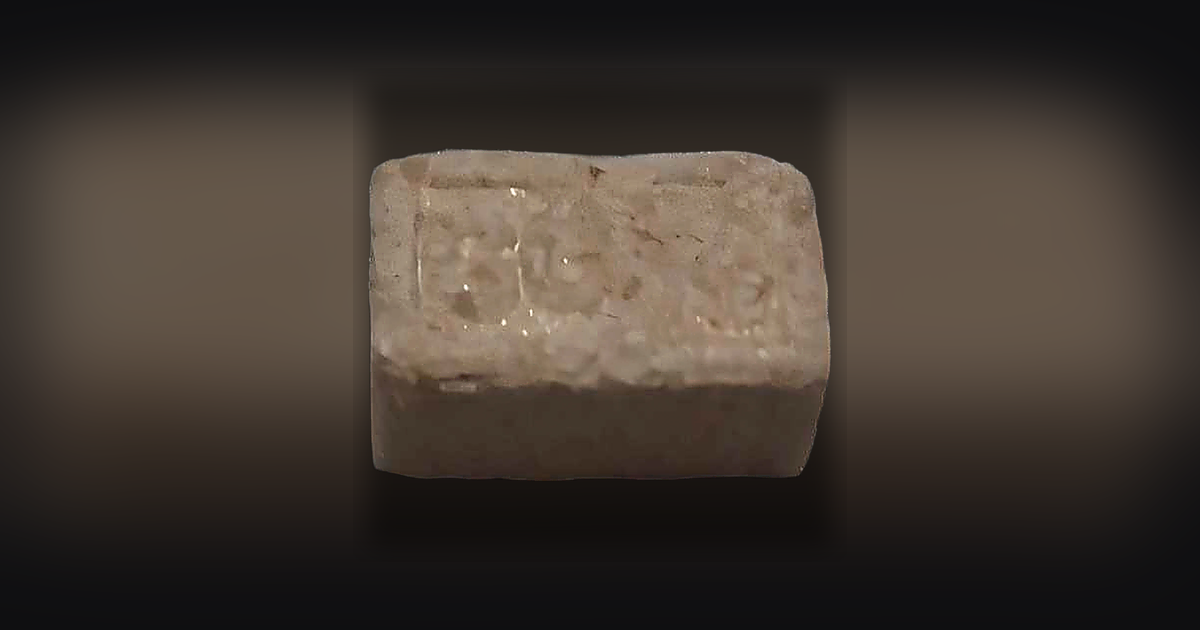 MDMA (161mg)