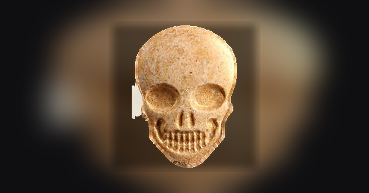 Skull