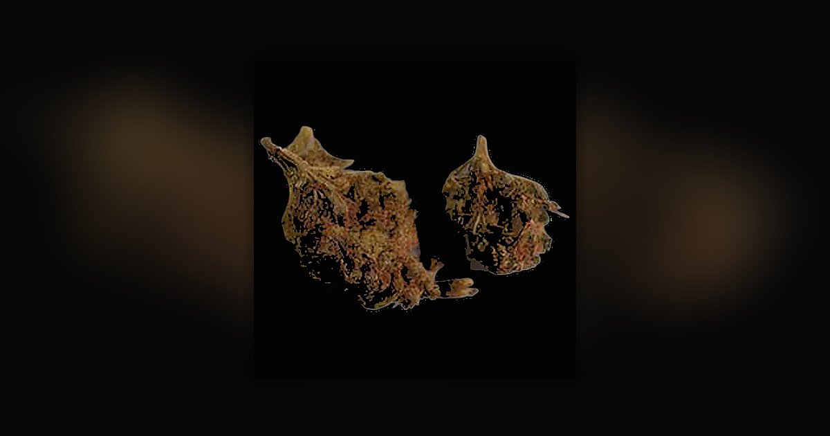 Crystals