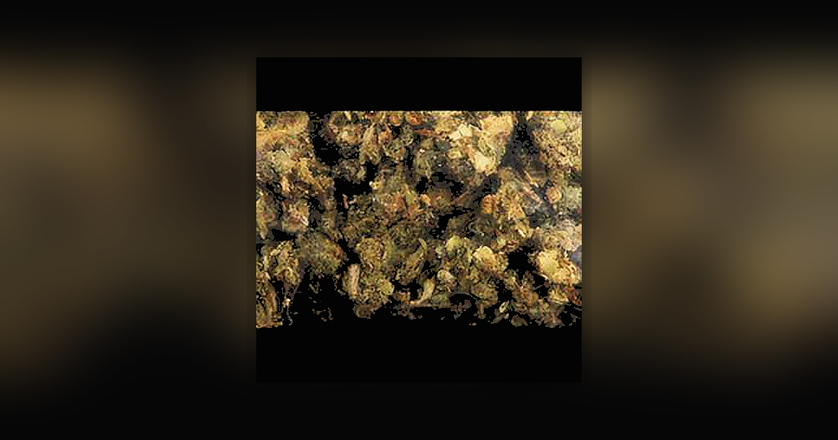 5F-MDMB-PICA; CBD; THC