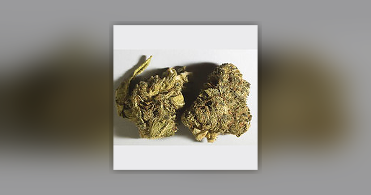 5F-MDMB-PICA; CBD; THC