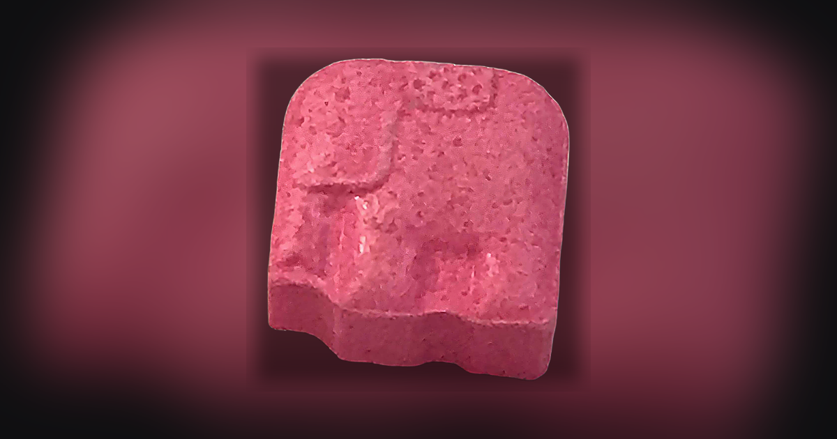 Elefante
