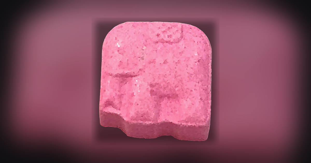 Elefante