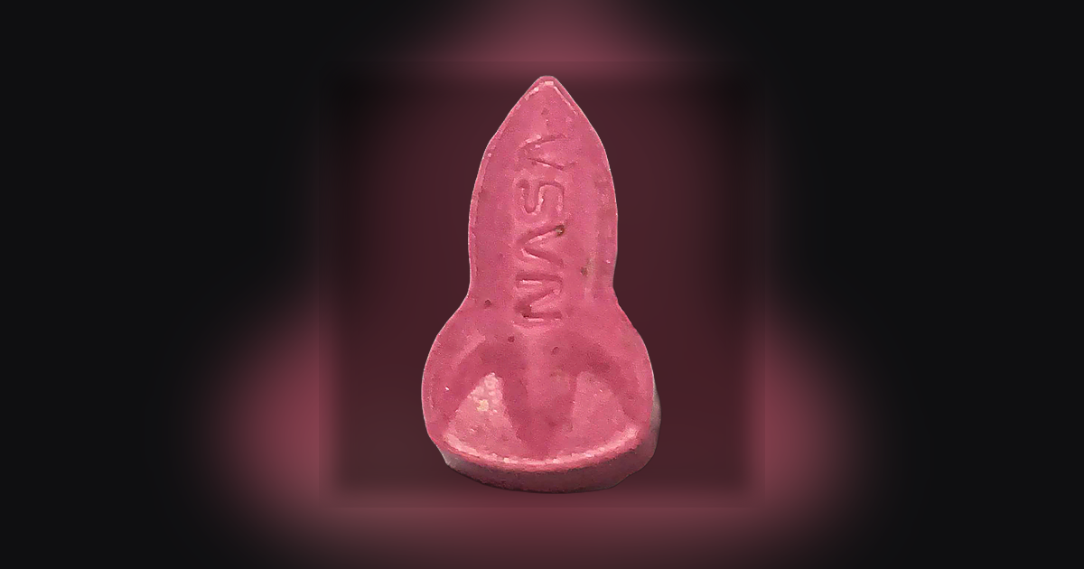 Polvo