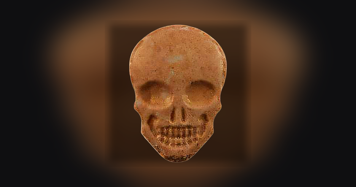 Skull