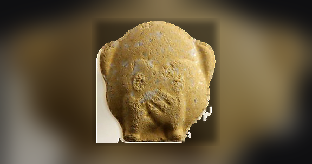 No_speak