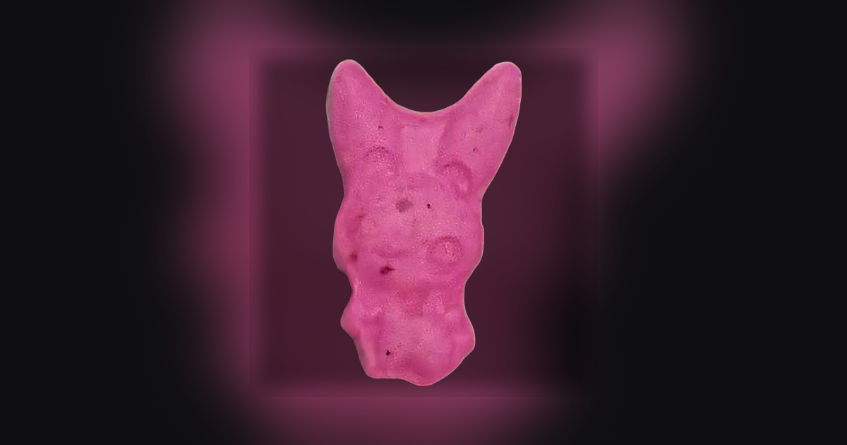Polvo