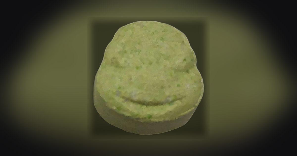 Tortuga