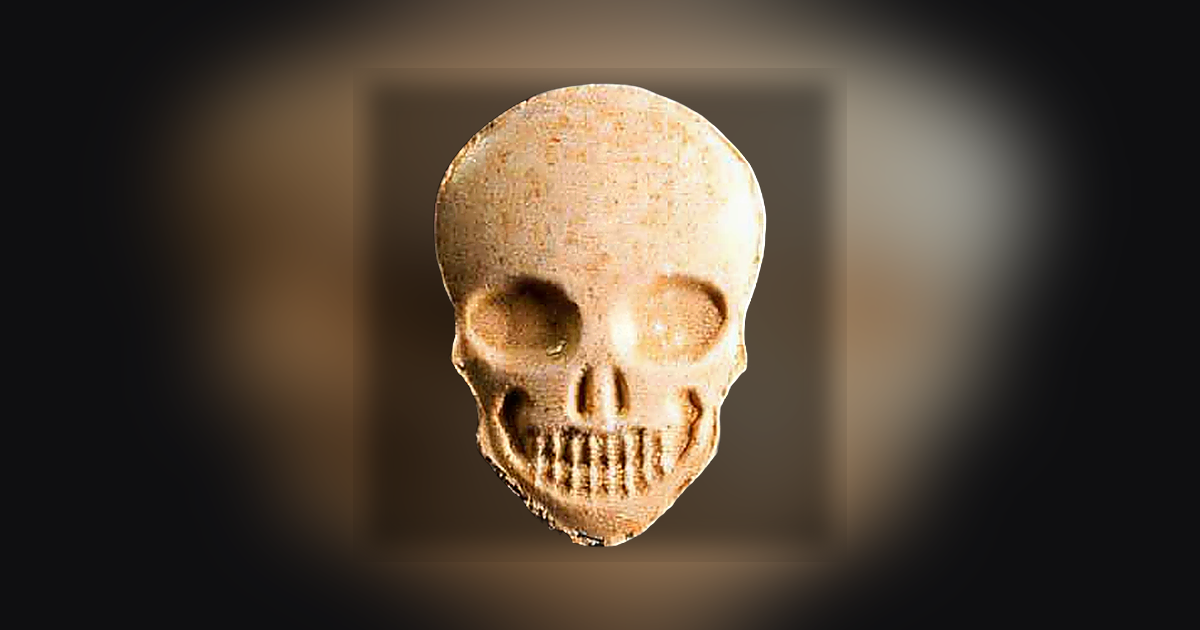 Skull