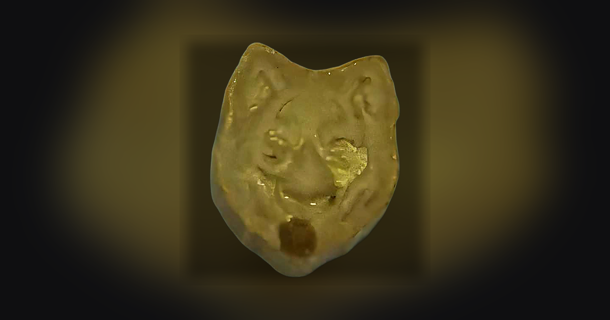 Polvo