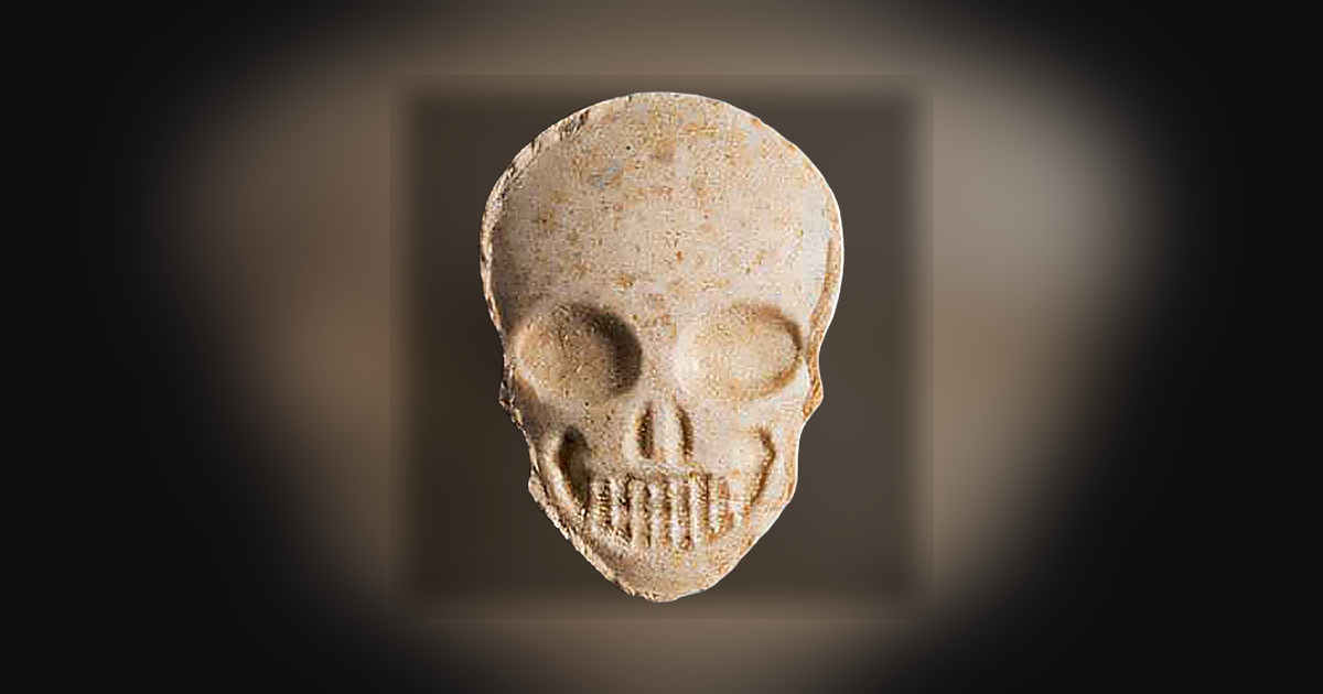 Skull