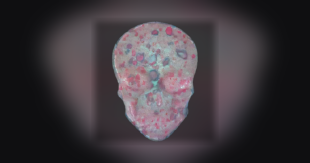 Skull, MyBrand