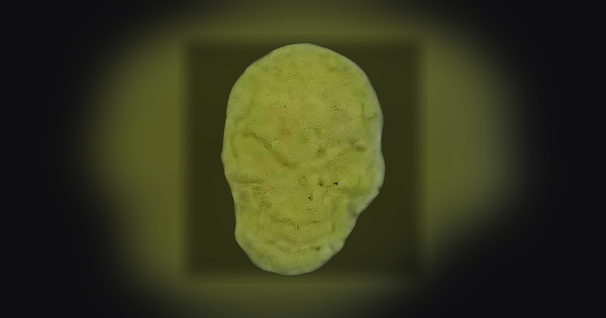 Skull