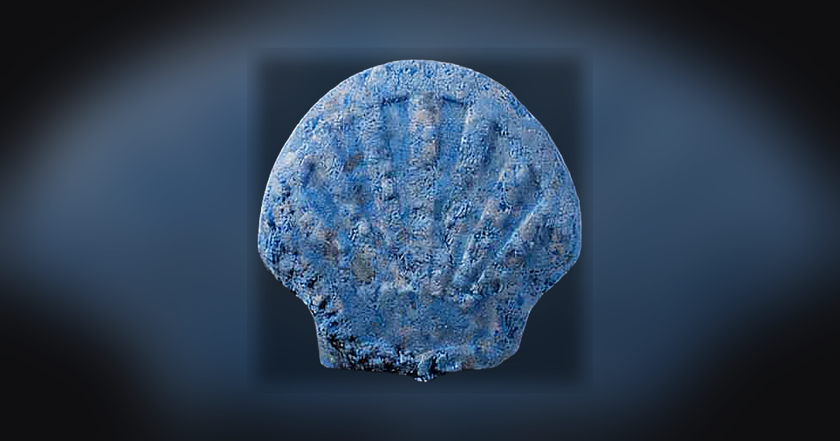 Shell