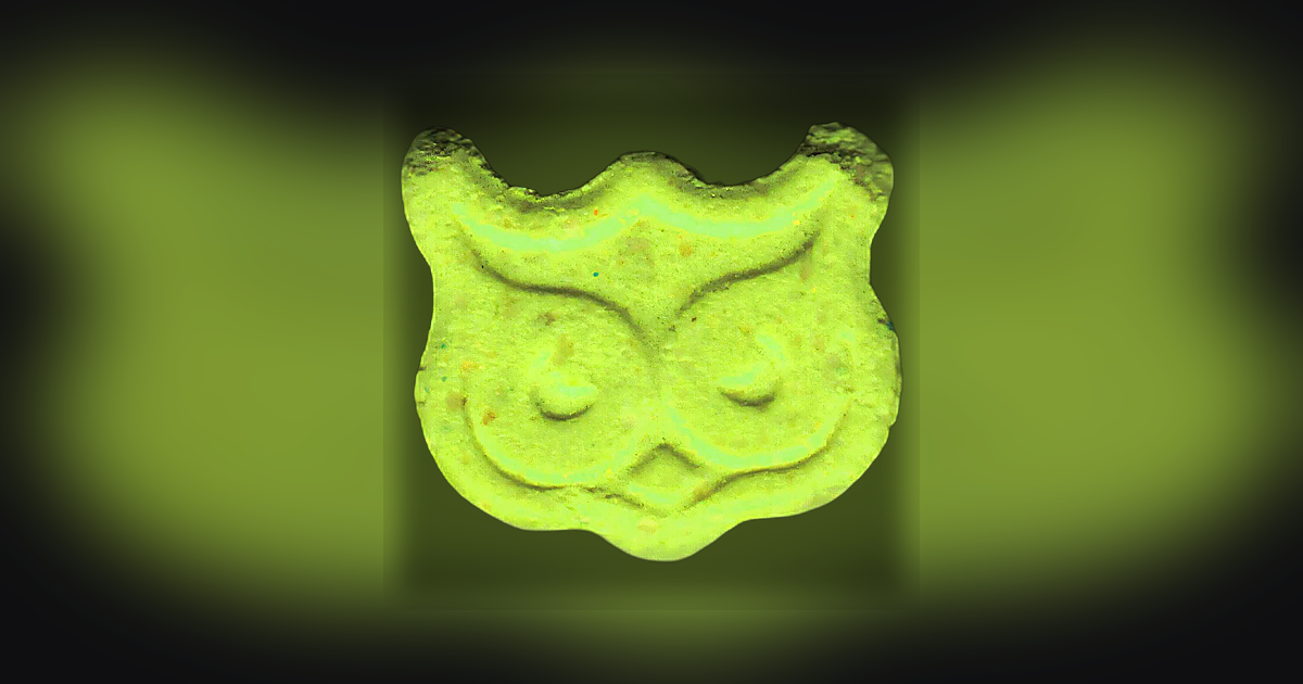 Panama, Owl