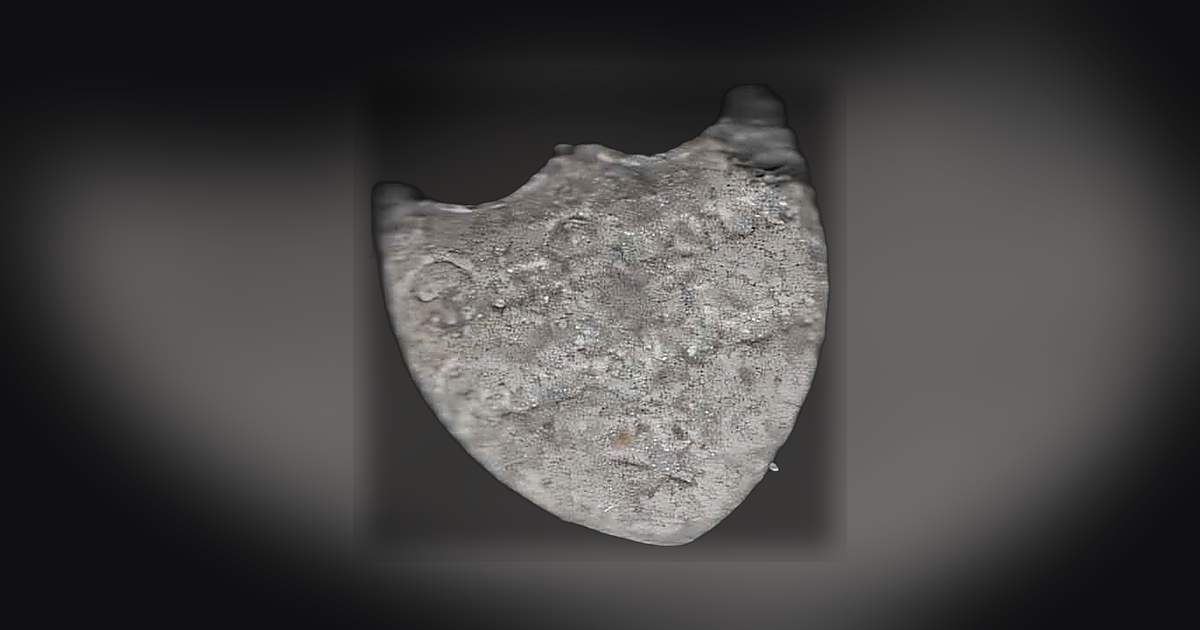 Shield