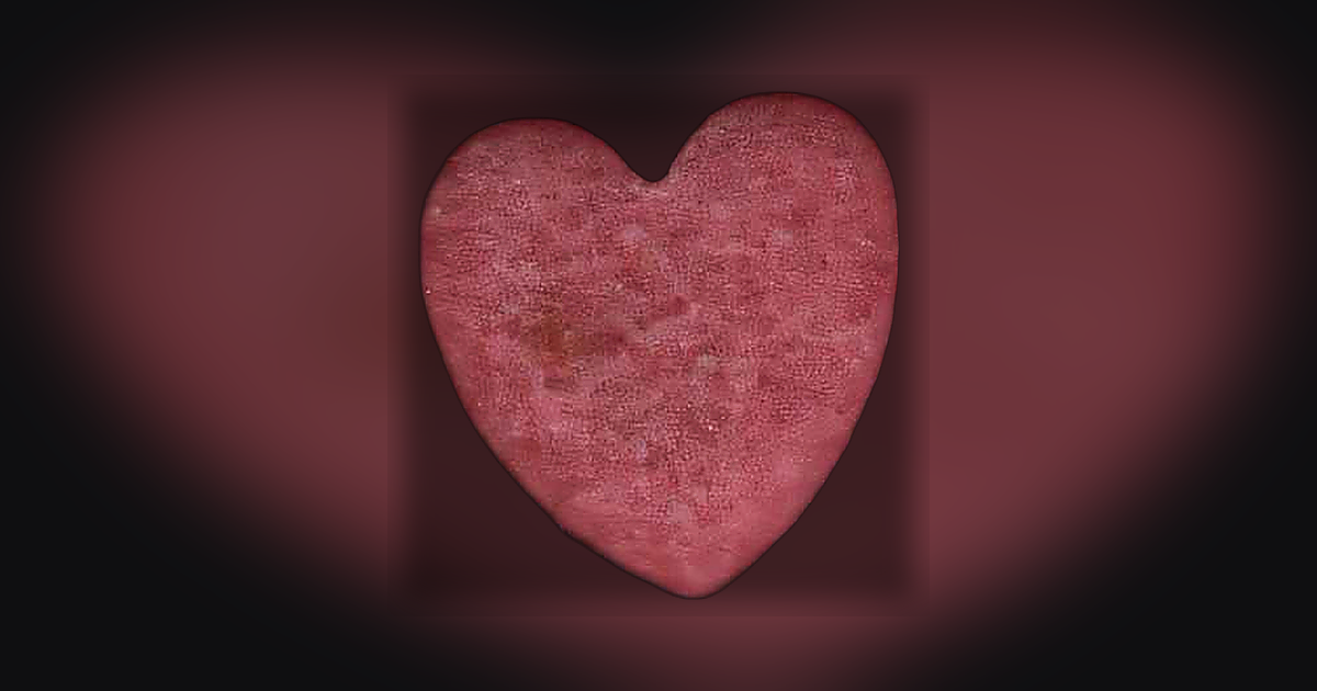 Heart