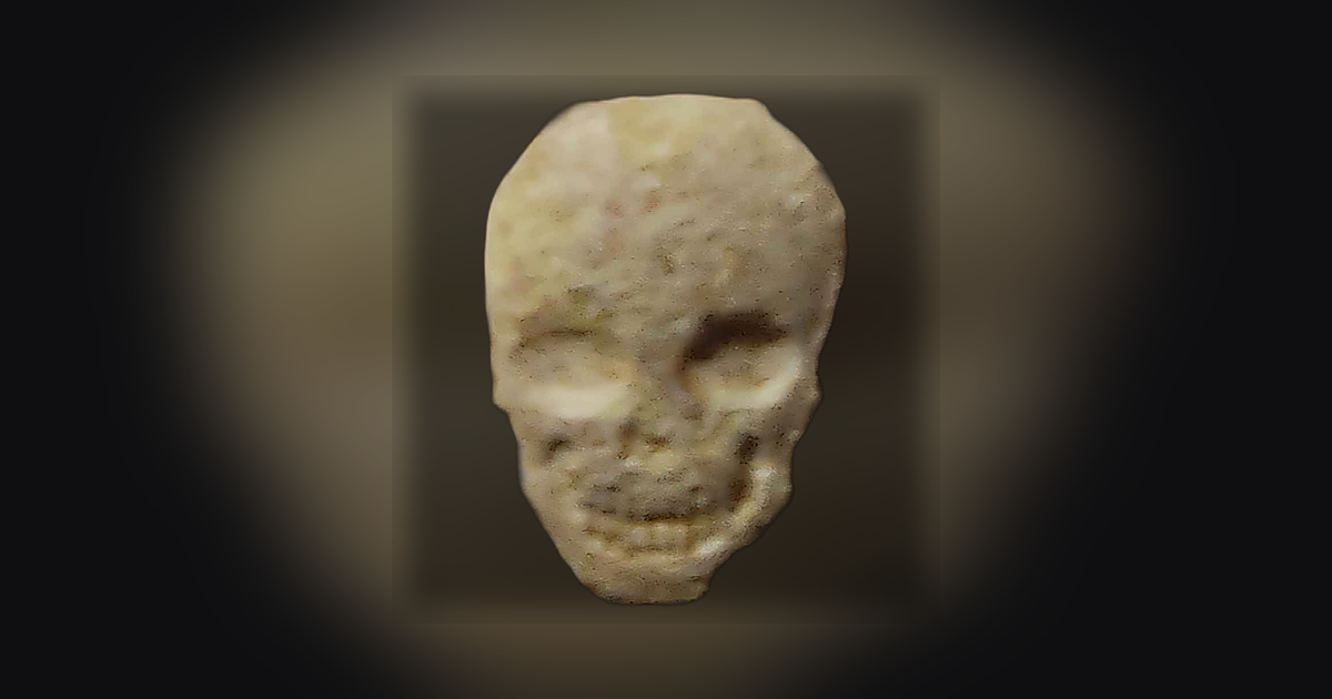 Skull