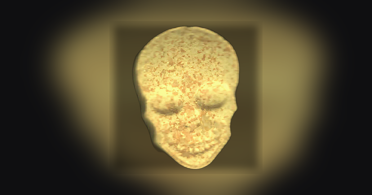 Skull