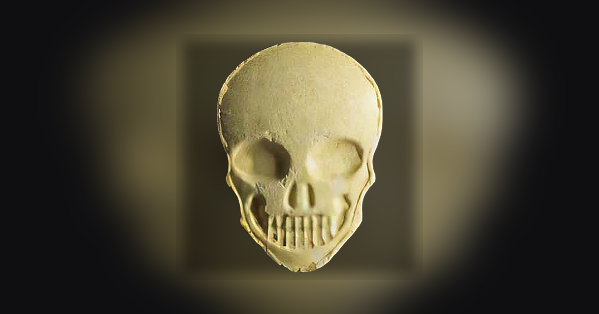 Skull