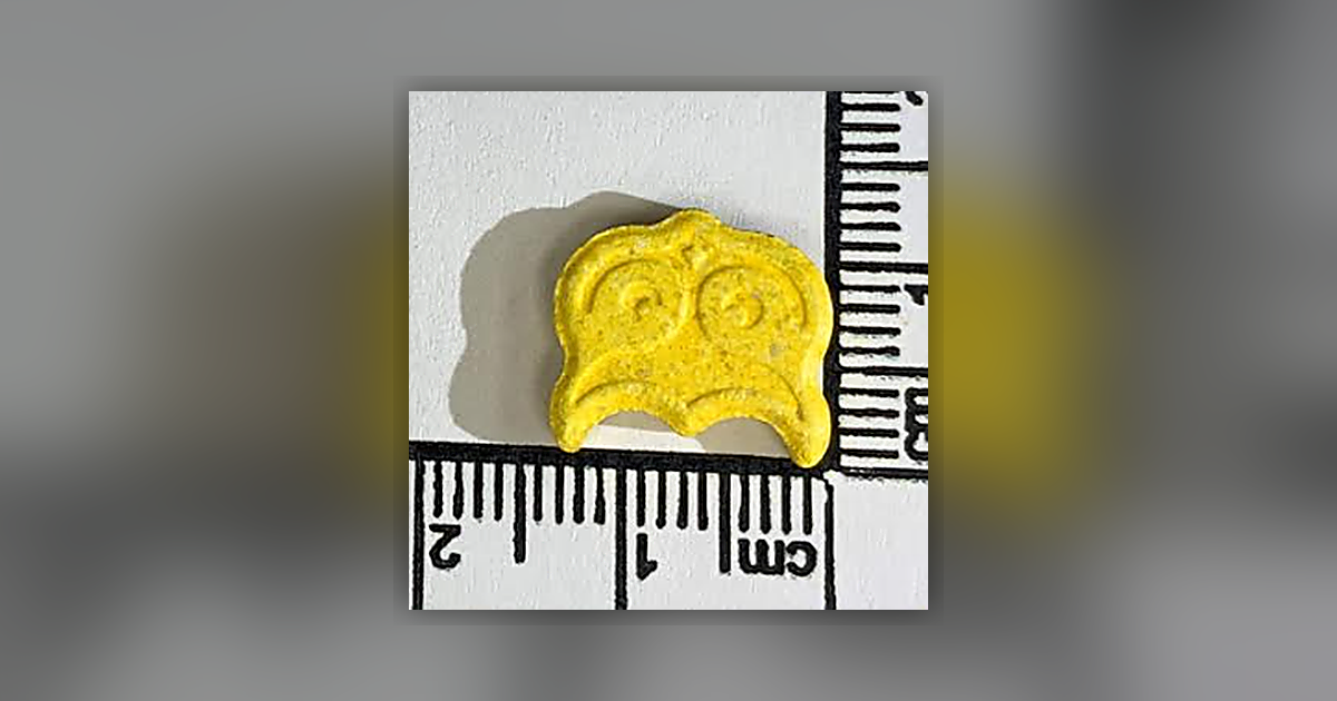 Panama, Owl