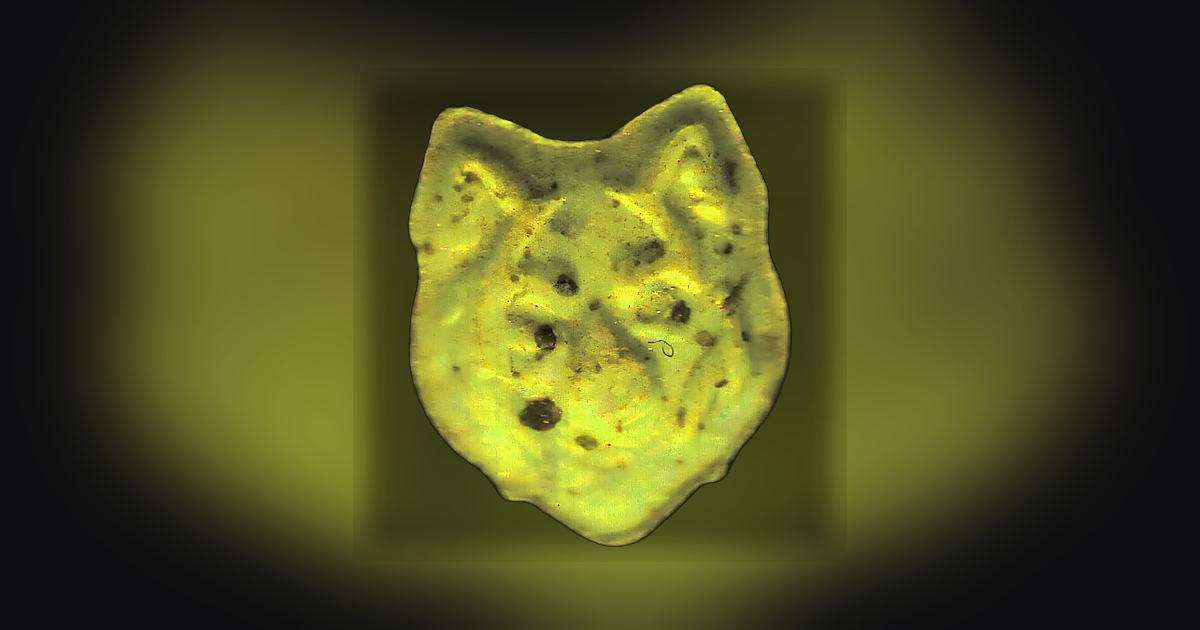 Wolf