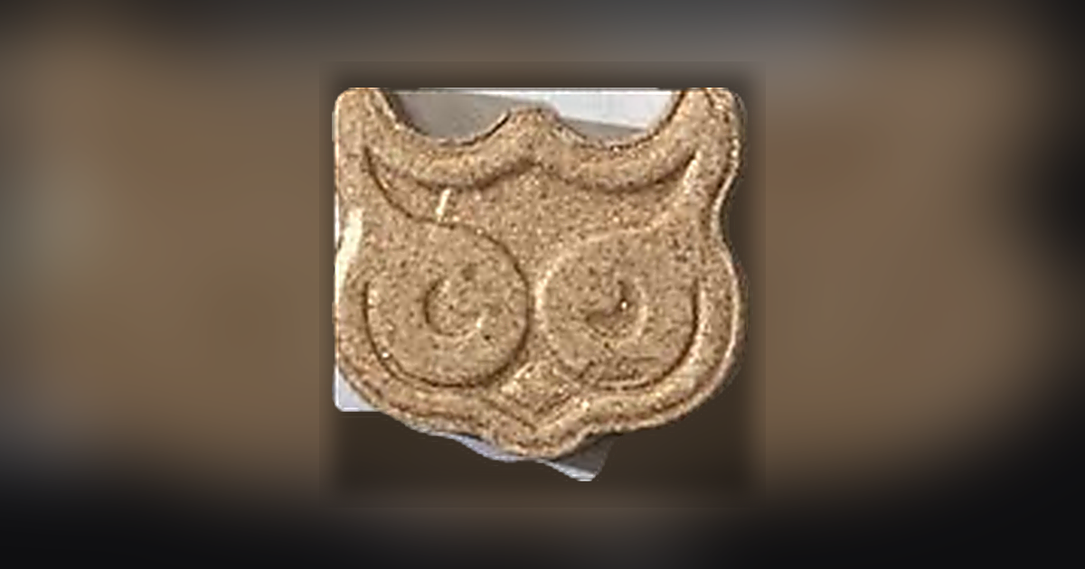 Panama, Owl