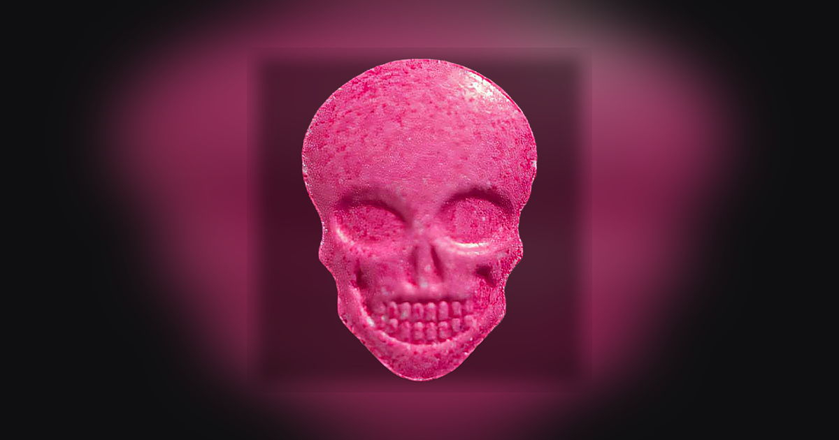 Skull, Skull My Brand Nl