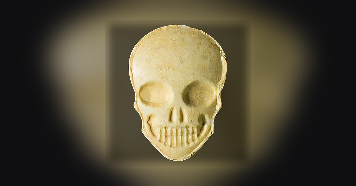 Skull