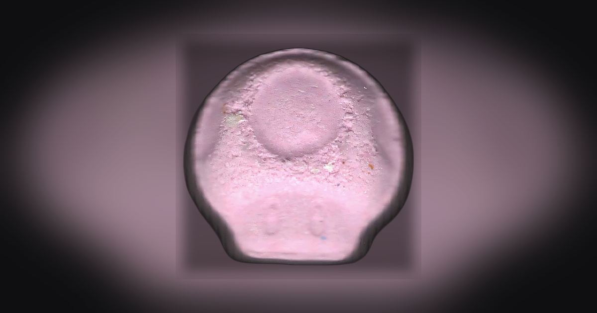 Mushroom
