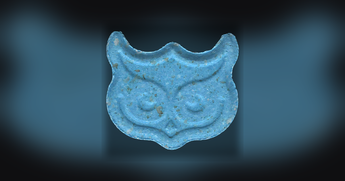 Panama, Owl