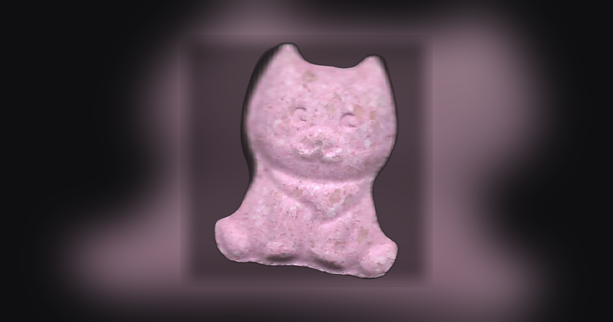 Shiba