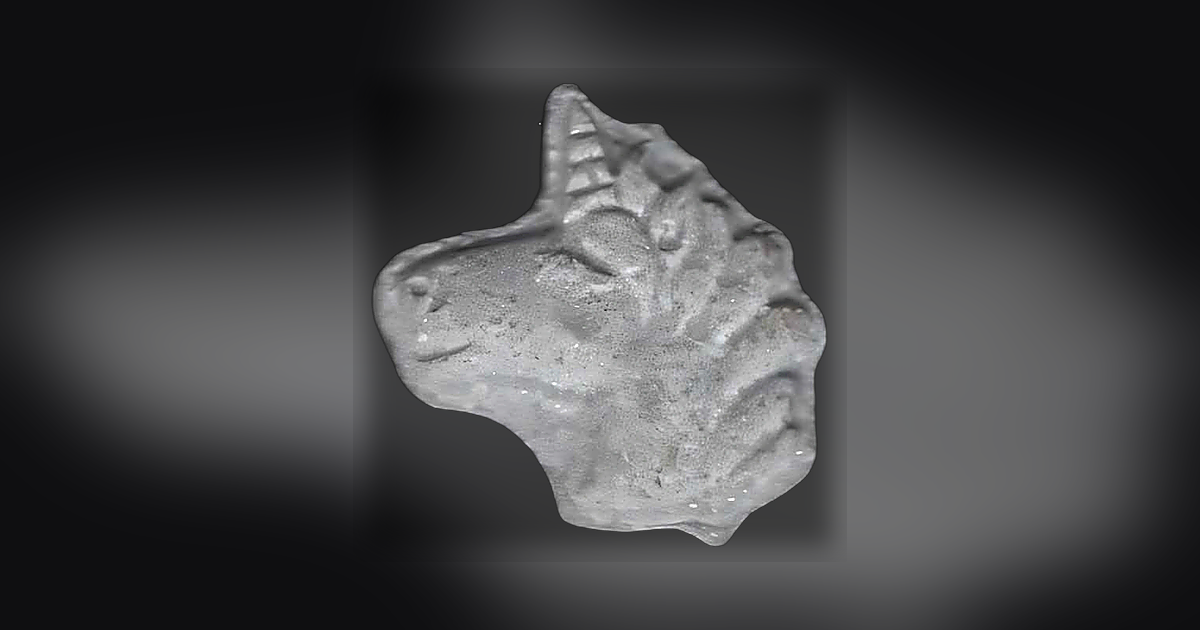 Pegasus