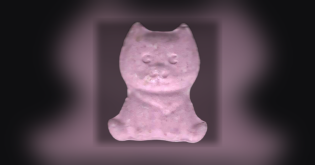 Shiba