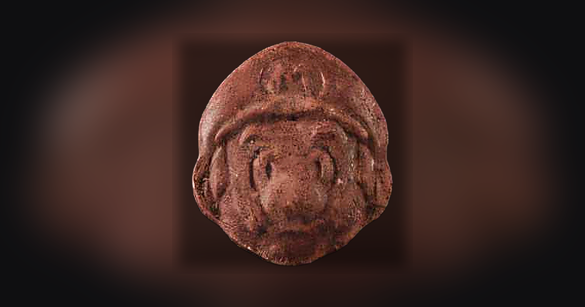 Super Mario