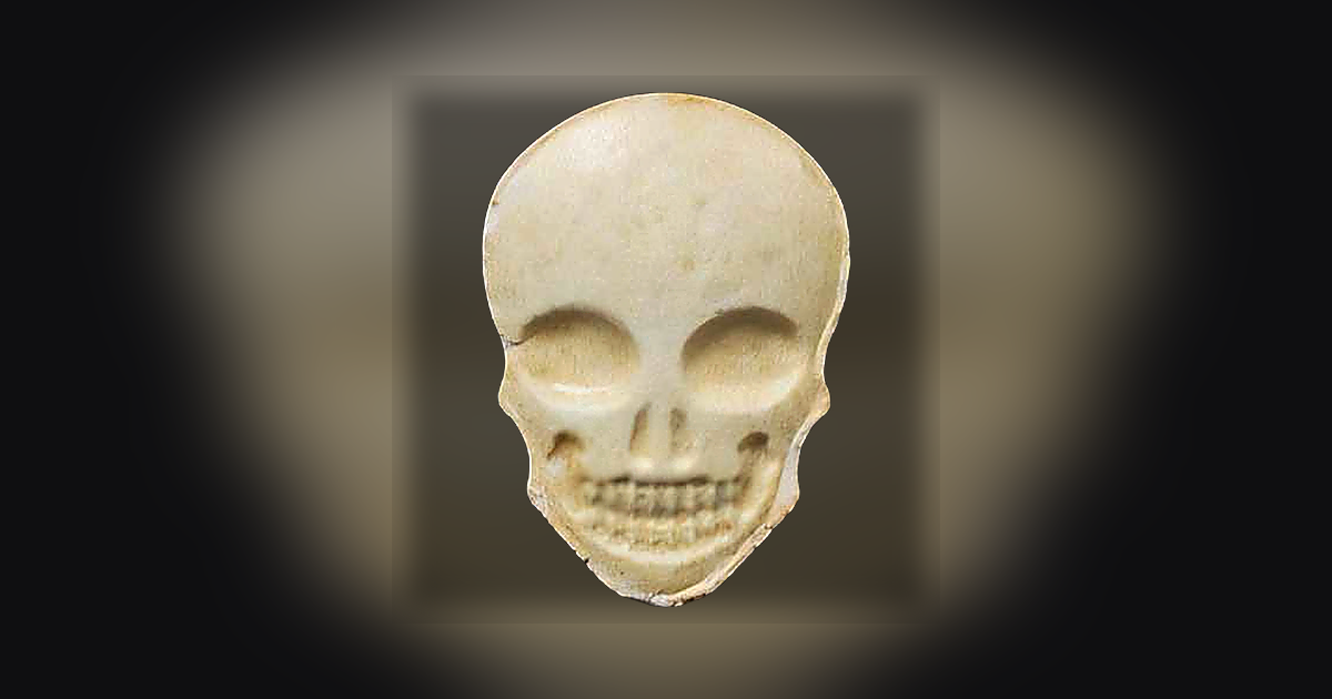 Skull